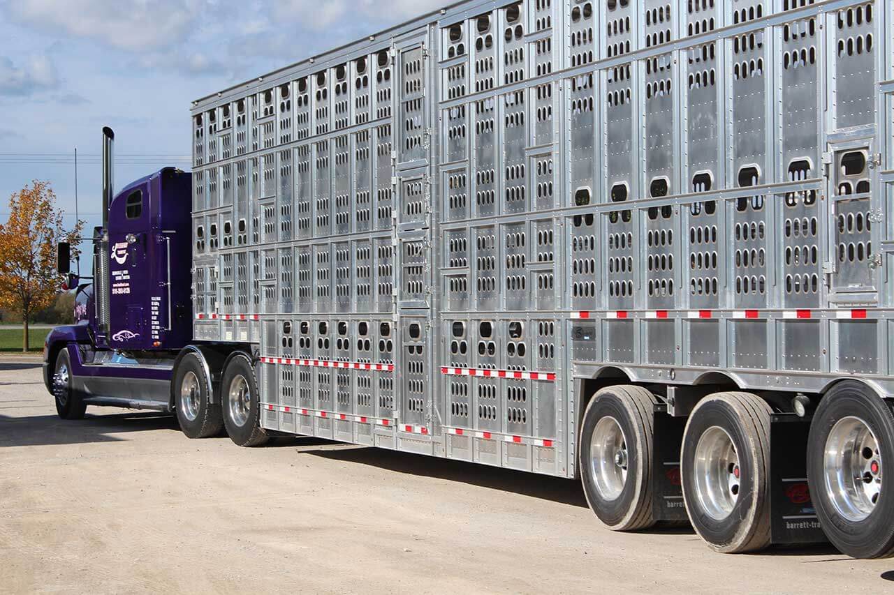 Animal welfare during transport: animals in containers